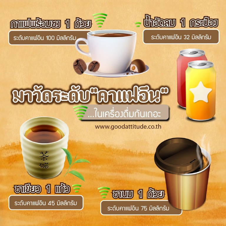 ผลงานออกแบบ Infographic goodattitude